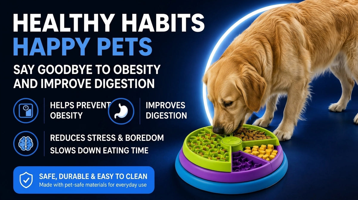 Perspectaa Three-Layer Slow-Feeding Pet Bowl - Landing Image 3