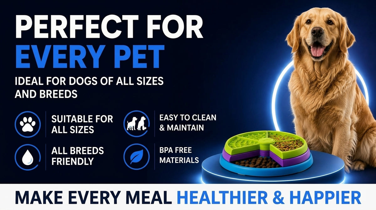 Perspectaa Three-Layer Slow-Feeding Pet Bowl - Landing Image 4