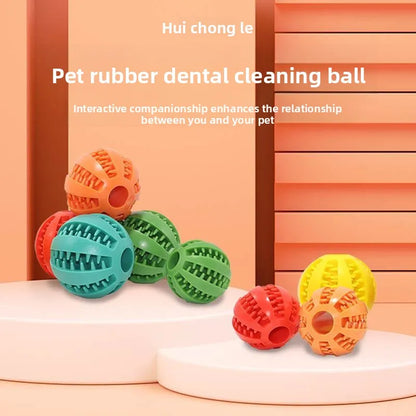 Perspectaa Pet Chew Toy with Food Dispenser